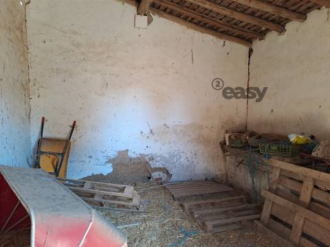 Moradias em ruínas para reconstrução inseridas em terreno misto com 6,62 hectares na Vidigueira