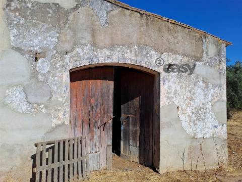 Moradias em ruínas para reconstrução inseridas em terreno misto com 6,62 hectares na Vidigueira