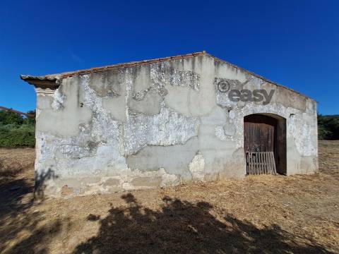 Moradias em ruínas para reconstrução inseridas em terreno misto com 6,62 hectares na Vidigueira