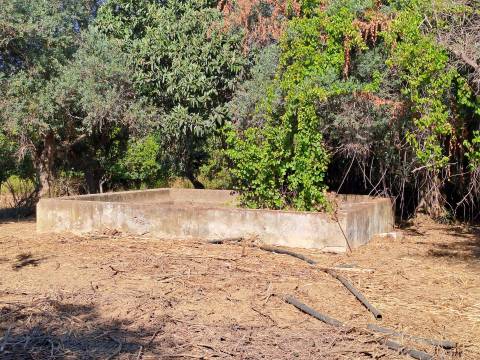 Moradias em ruínas para reconstrução inseridas em terreno misto com 6,62 hectares na Vidigueira