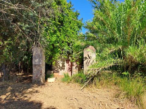 Moradias em ruínas para reconstrução inseridas em terreno misto com 6,62 hectares na Vidigueira