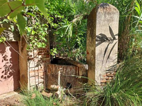 Moradias em ruínas para reconstrução inseridas em terreno misto com 6,62 hectares na Vidigueira