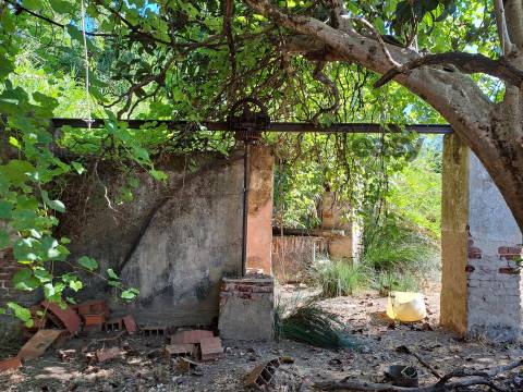 Moradias em ruínas para reconstrução inseridas em terreno misto com 6,62 hectares na Vidigueira