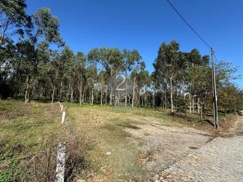 Terreno,  Árvore, Construção em altura