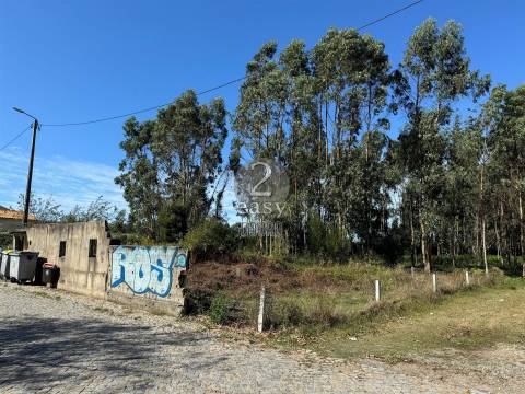 Terreno,  Árvore, Construção em altura