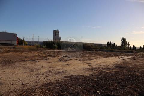 Lote de Terreno  Venda em Montijo e Afonsoeiro,Montijo