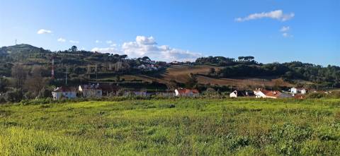 Terreno Para Construção  Venda em Sapataria,Sobral de Monte Agraço