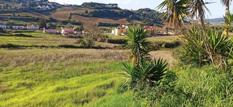 Terreno Para Construção  Venda em Sapataria,Sobral de Monte Agraço