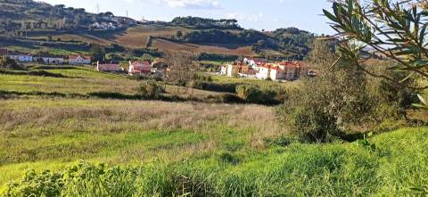 Terreno Para Construção  Venda em Sapataria,Sobral de Monte Agraço