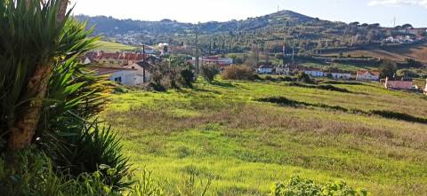 Terreno Para Construção  Venda em Sapataria,Sobral de Monte Agraço