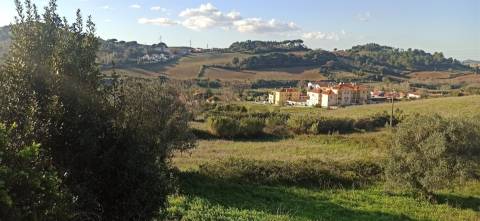 Terreno Para Construção  Venda em Sapataria,Sobral de Monte Agraço