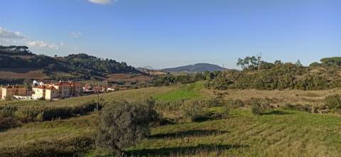 Terreno Para Construção  Venda em Sapataria,Sobral de Monte Agraço