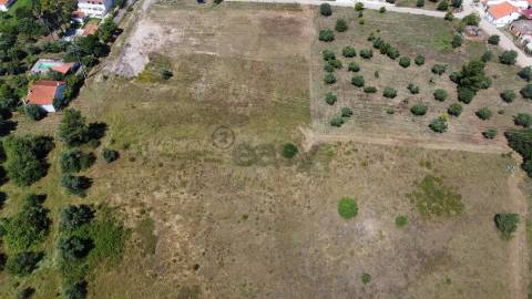 Lote de Terreno  Venda em Casais e Alviobeira,Tomar