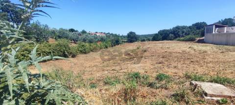 Lote de Terreno  Venda em Casais e Alviobeira,Tomar