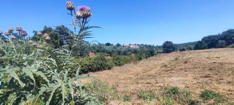 Lote de Terreno  Venda em Casais e Alviobeira,Tomar