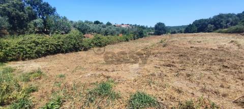 Lote de Terreno  Venda em Casais e Alviobeira,Tomar