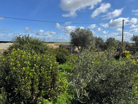 Habitação 4 divisões para remodelar, Castro Verde, Alentejo, Portugal