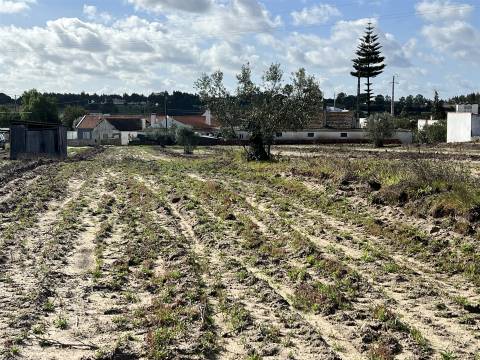 Terreno Para Construção  Venda em Biscainho,Coruche