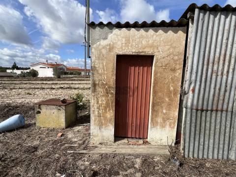 Terreno Para Construção  Venda em Biscainho,Coruche