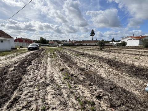 Terreno Para Construção  Venda em Biscainho,Coruche