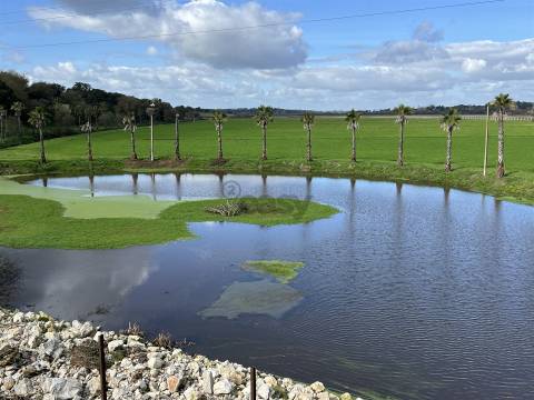 Terreno Para Construção  Venda em Biscainho,Coruche