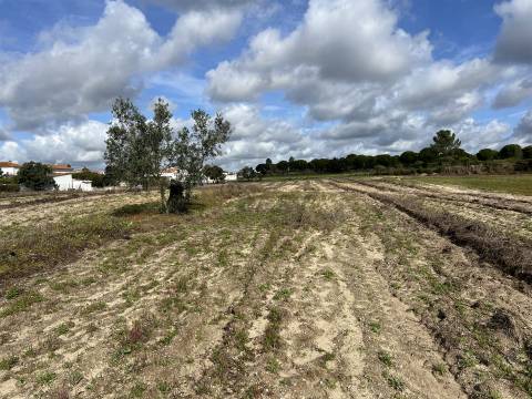 Terreno Para Construção  Venda em Biscainho,Coruche