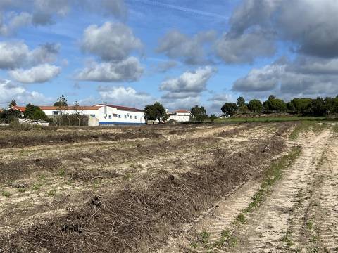 Terreno Para Construção  Venda em Biscainho,Coruche