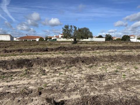 Terreno Para Construção  Venda em Biscainho,Coruche