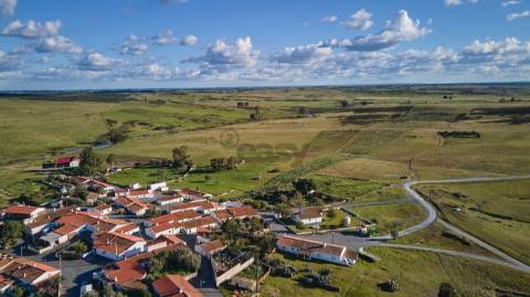 Terreno rústico 5,575 ha, Plantação de Figueira Índia, São Marcos da Ataboeira