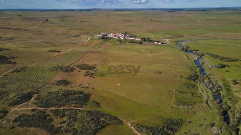 Terreno rústico 5,575 ha, Plantação de Figueira Índia, São Marcos da Ataboeira