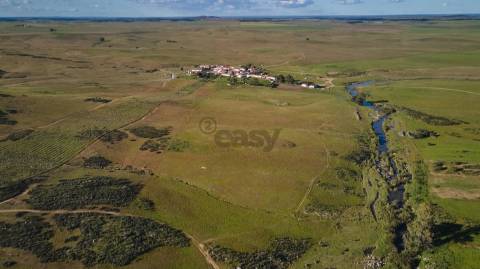 Terreno rústico 5,575 ha, Plantação de Figueira Índia, São Marcos da Ataboeira