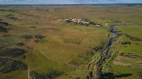 Terreno rústico 5,575 ha, Plantação de Figueira Índia, São Marcos da Ataboeira