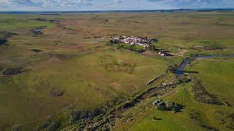 Terreno rústico 5,575 ha, Plantação de Figueira Índia, São Marcos da Ataboeira