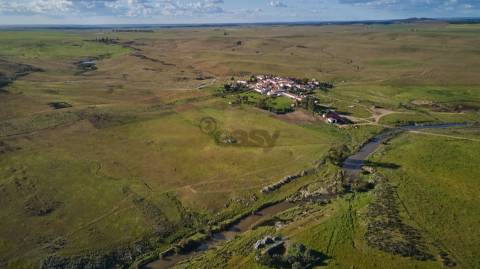 Terreno rústico 5,575 ha, Plantação de Figueira Índia, São Marcos da Ataboeira