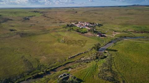 Terreno rústico 5,575 ha, Plantação de Figueira Índia, São Marcos da Ataboeira