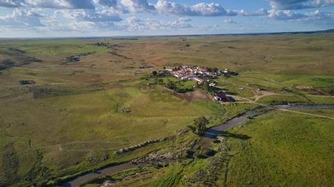 Terreno rústico 5,575 ha, Plantação de Figueira Índia, São Marcos da Ataboeira