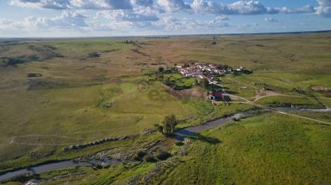 Terreno rústico 5,575 ha, Plantação de Figueira Índia, São Marcos da Ataboeira