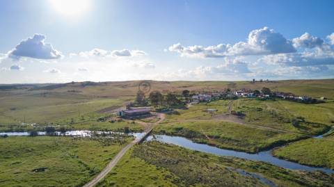 Terreno rústico 5,575 ha, Plantação de Figueira Índia, São Marcos da Ataboeira