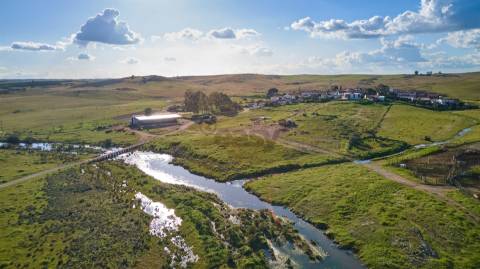 Terreno rústico 5,575 ha, Plantação de Figueira Índia, São Marcos da Ataboeira