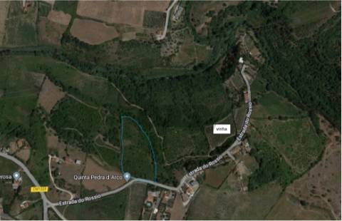 Terreno Rústico  Venda em Cardosas,Arruda dos Vinhos