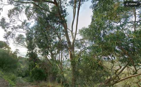 Terreno Rústico  Venda em Cardosas,Arruda dos Vinhos
