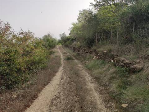 Terreno Rústico  Venda em Cardosas,Arruda dos Vinhos