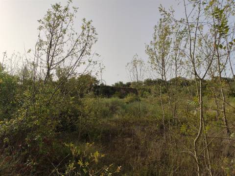 Terreno Rústico  Venda em Cardosas,Arruda dos Vinhos