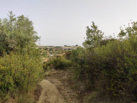 Terreno Rústico  Venda em Cardosas,Arruda dos Vinhos