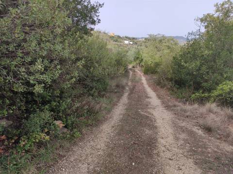 Terreno Rústico  Venda em Cardosas,Arruda dos Vinhos