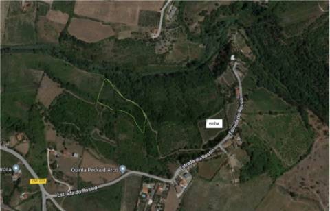 Terreno Rústico  Venda em Cardosas,Arruda dos Vinhos