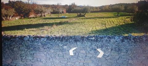 Terreno Rústico  Venda em Algodres, Vale de Afonsinho e Vilar de Amargo,Figueira de Castelo Rodrigo