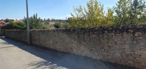 Terreno Rústico  Venda em Algodres, Vale de Afonsinho e Vilar de Amargo,Figueira de Castelo Rodrigo