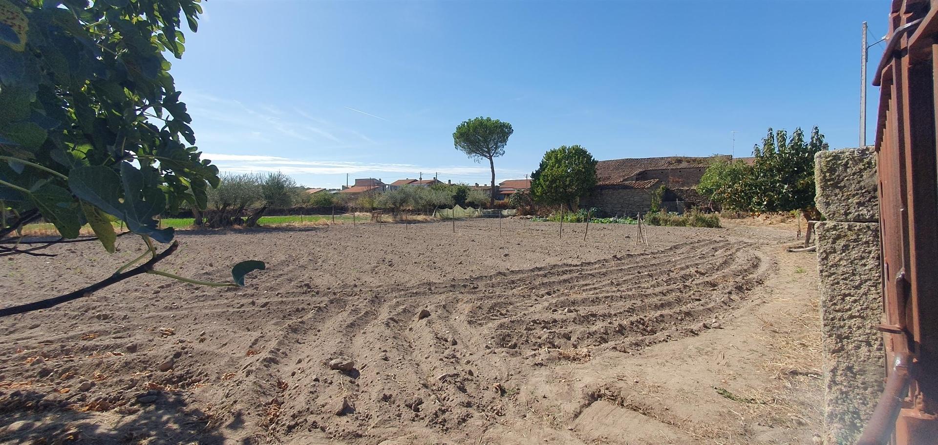 Terreno Rústico  Venda em Algodres, Vale de Afonsinho e Vilar de Amargo,Figueira de Castelo Rodrigo