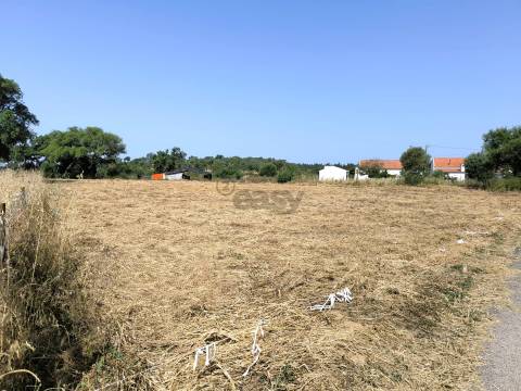 Terreno urbano com área de 2145 m2 situado nos Foros do Chaparral, Bicos